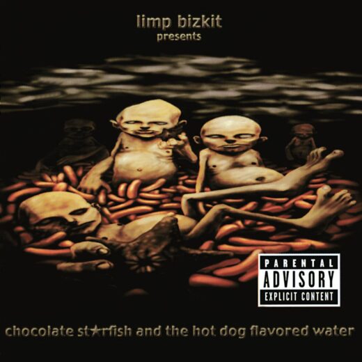 Limp Bizkit - Chocolate Starfish & The Hot Dog Flavored Water  (CD)