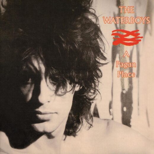 The Waterboys - A Pagan Place (LP)