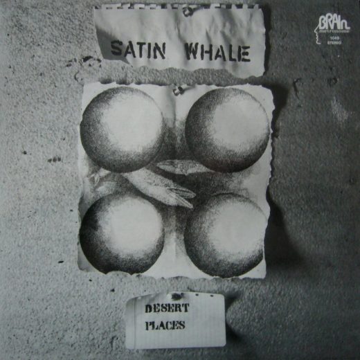 Satin Whale - Desert Places (Coloured LP)