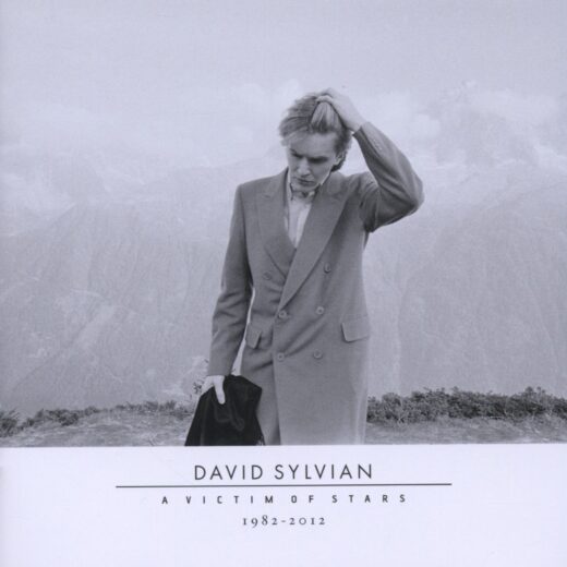 David Sylvian - A Victim Of Stars (2CD)