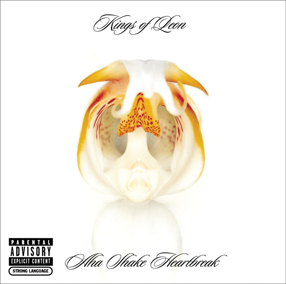 Kings Of Leon - Aha Shake Heartbreak (CD)