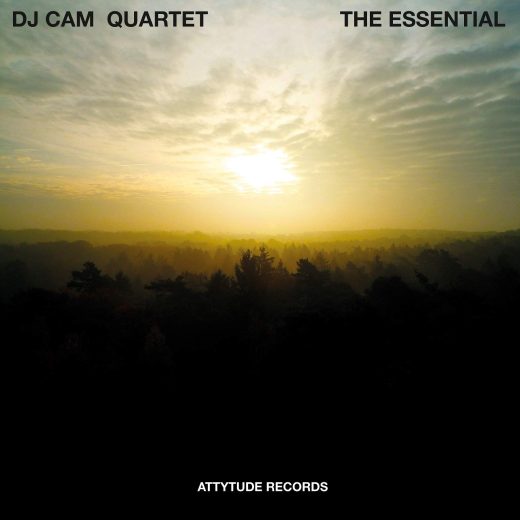 DJ Cam Quartet - The Essential (Coloured LP)