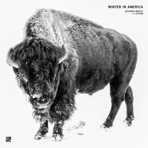 Johannes Brecht feat. Fetsum - Winter In America (12" Coloured Vinyl)