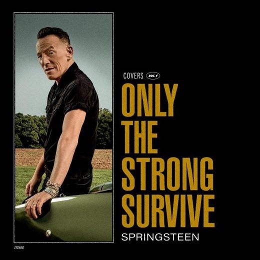 Bruce Springsteen - Only The Strong Survive (2LP)