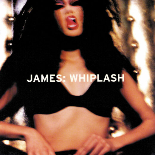 James - Whiplash (2LP)