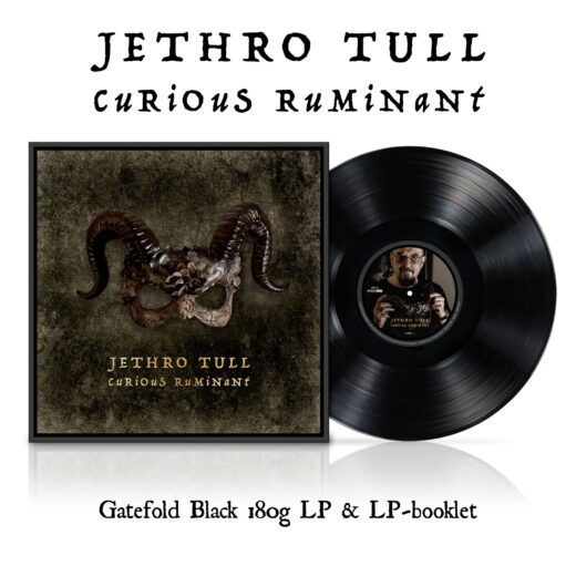 Jethro Tull - Curious Ruminant (LP)